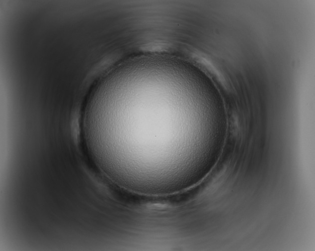 X0000093230586200710101405