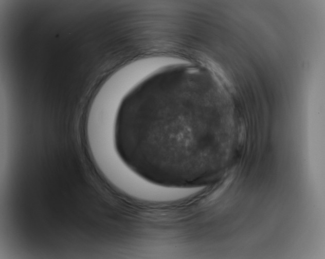 X0000093230589200710101405