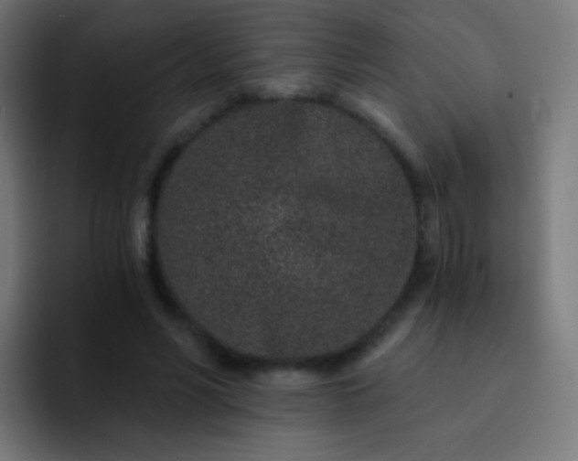 X0000093230590200710101405