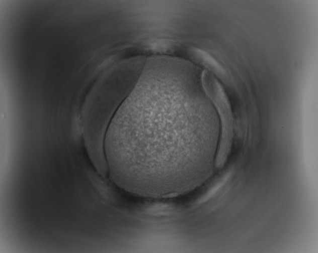 X0000093230593200710101405