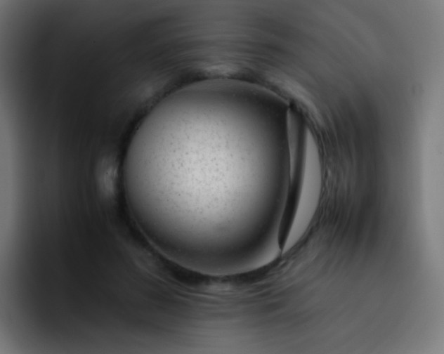 X0000093230596200710101405