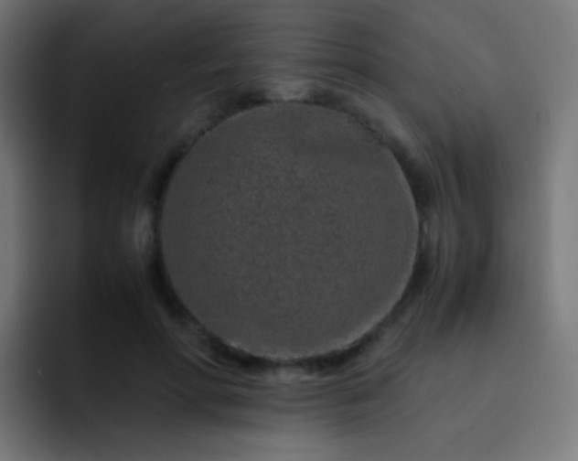 X0000093230598200710101405