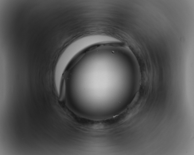 X0000093230600200710101405