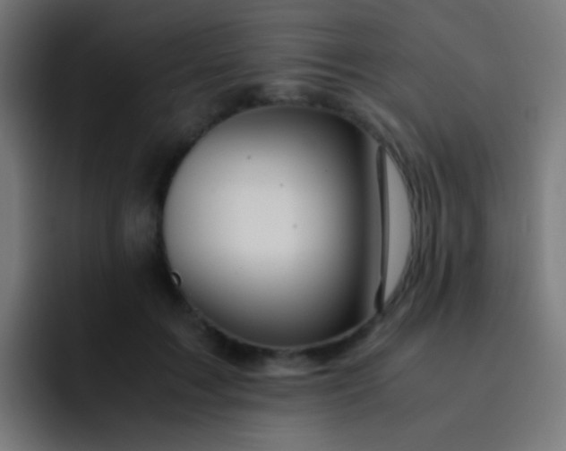 X0000093230603200710101405