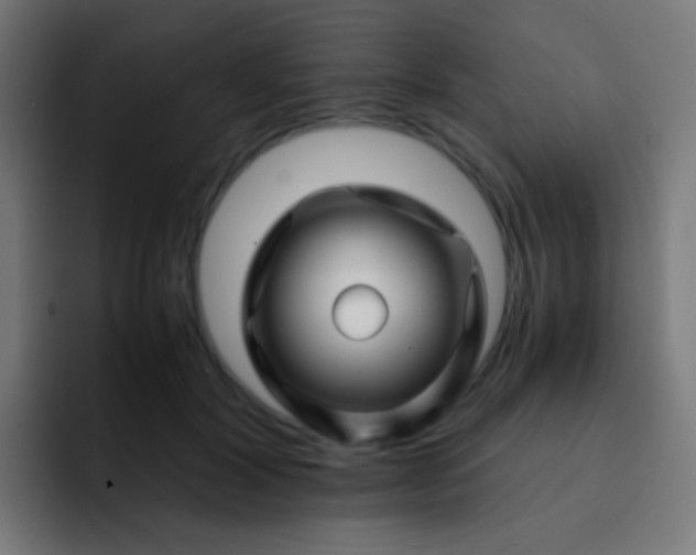 X0000093230604200710101405