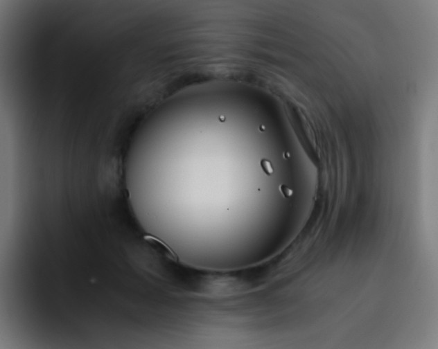 X0000093230605200710101405