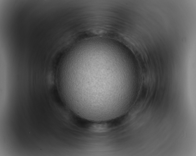 X0000093230606200710101405