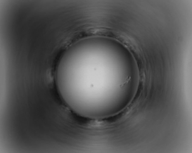 X0000093230607200710101405