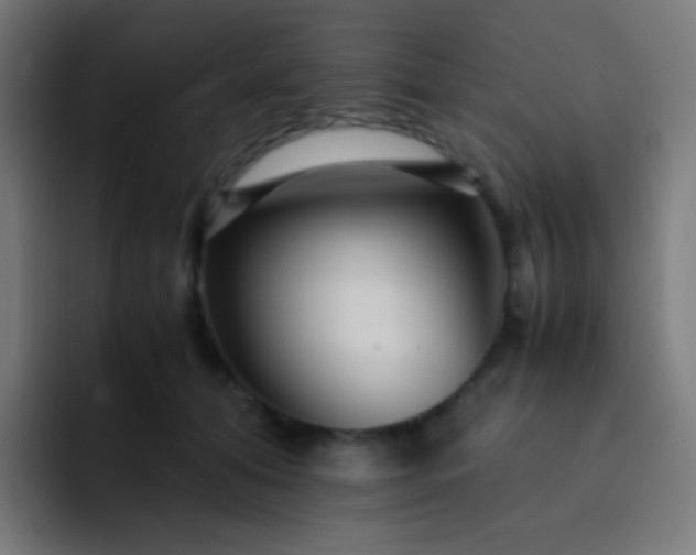 X0000093230608200710101405