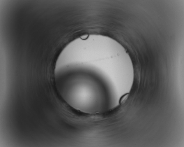 X0000093230619200710101405