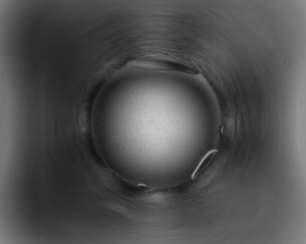 X0000093230620200710101405