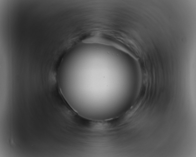 X0000093230621200710101405