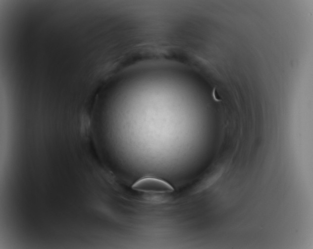 X0000093230624200710101405