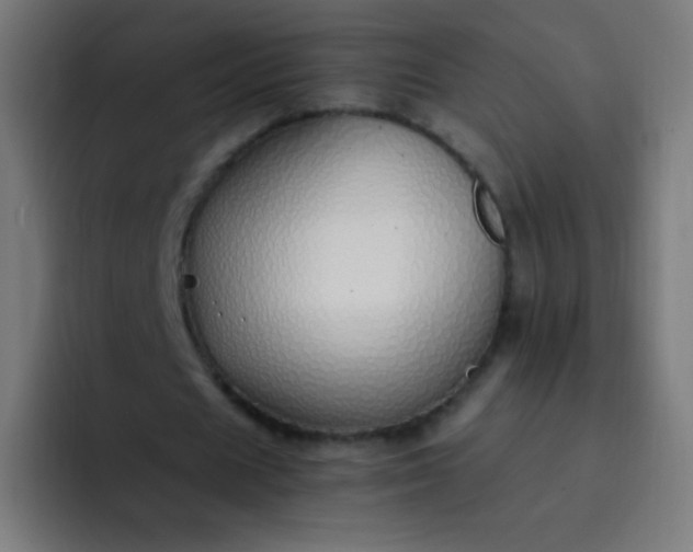 X0000093230625200710101404