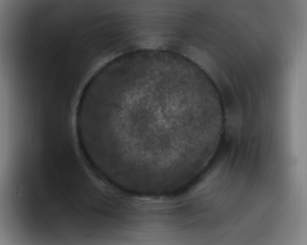 X0000093230626200710101404