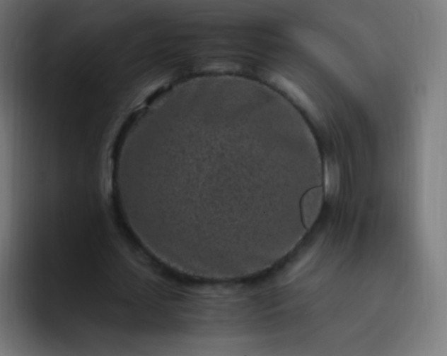 X0000093230627200710101404