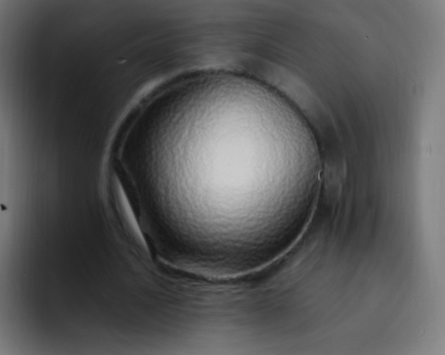 X0000093230628200710101404