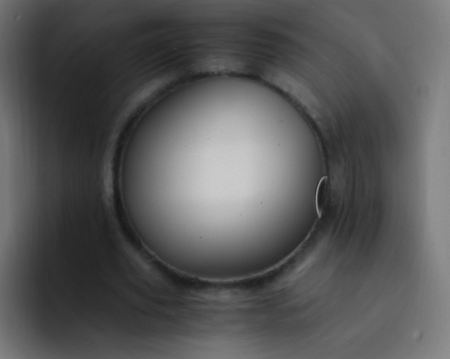 X0000093230629200710101404