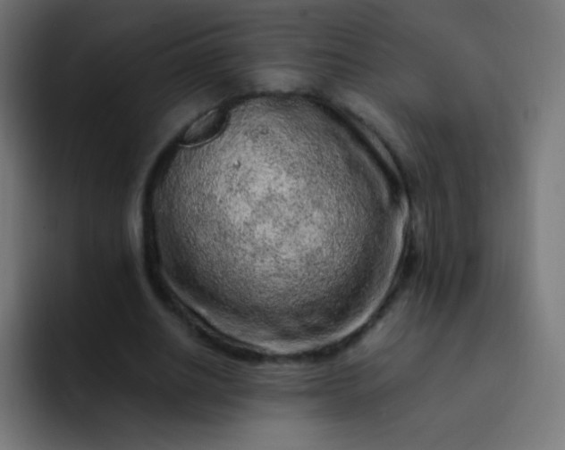 X0000093230630200710101404