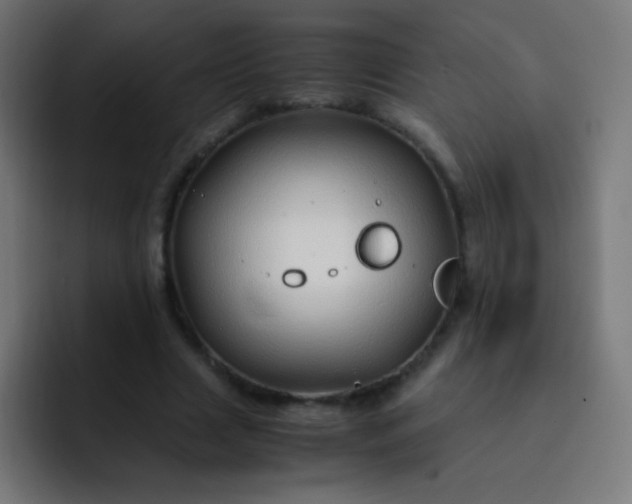 X0000093230633200710101404