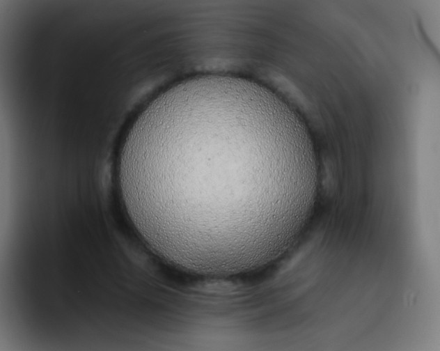 X0000093230636200710101404