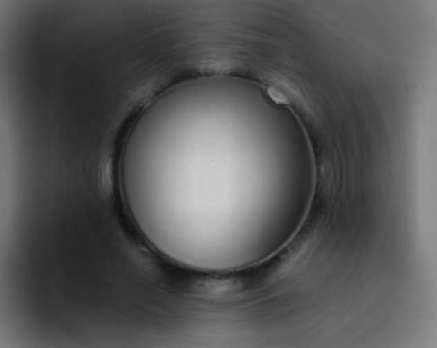 X0000093230638200710101404