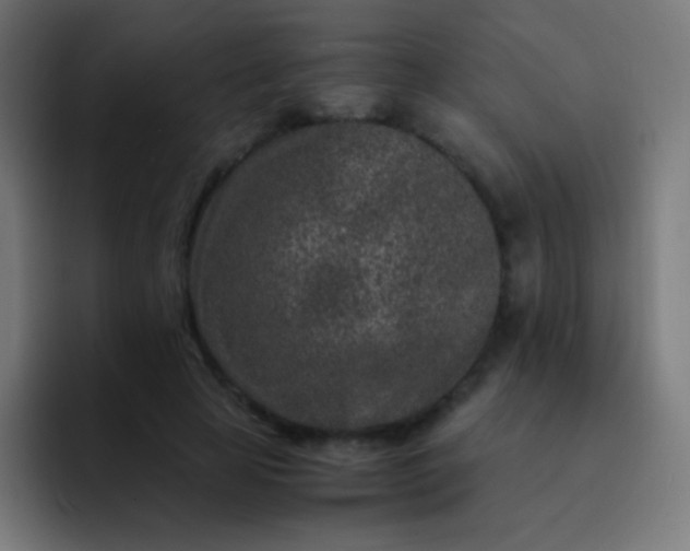 X0000093230641200710101404