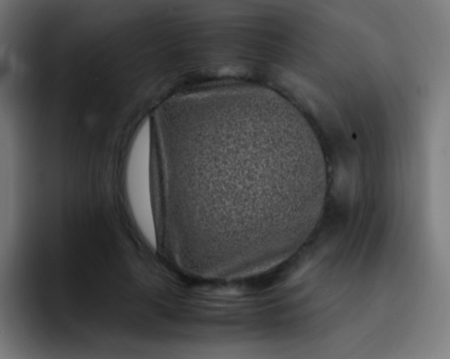 X0000093230643200710101404