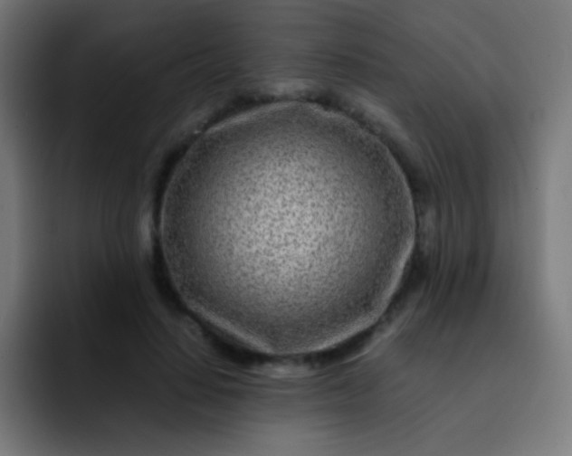 X0000093230644200710101404