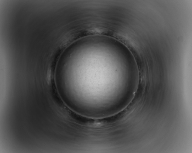 X0000093230647200710101404