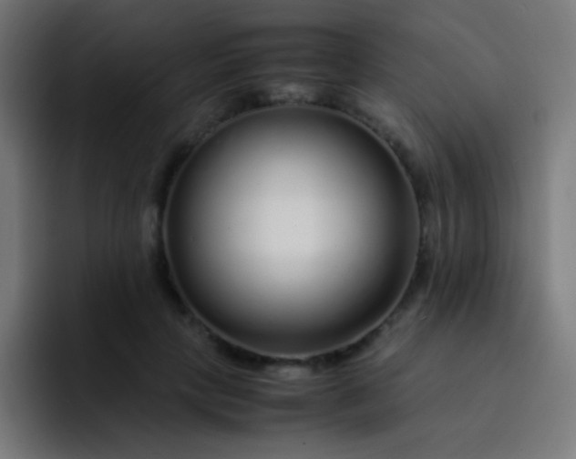 X0000093230649200710101404