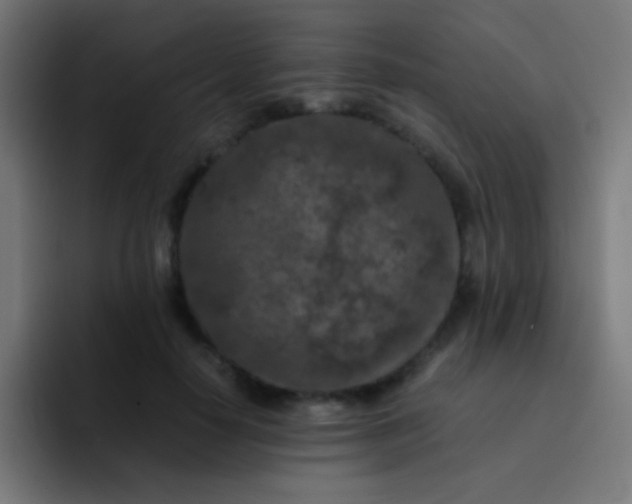 X0000093230650200710101404