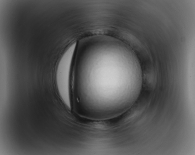 X0000093230652200710101404