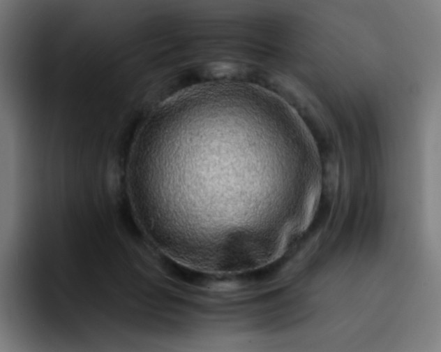 X0000093230653200710101404