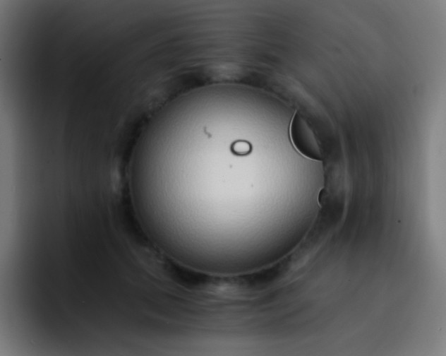 X0000093230655200710101404