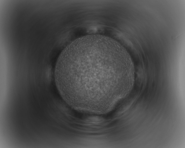 X0000093230659200710101404