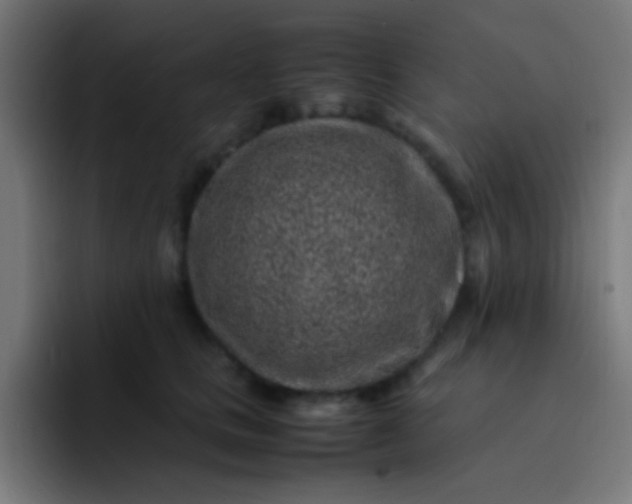 X0000093230661200710101404