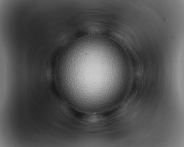 X0000093230663200710101405