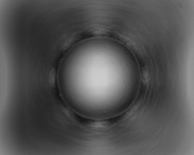 X0000093230664200710101405