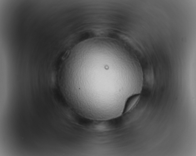 X0000093230667200710101405