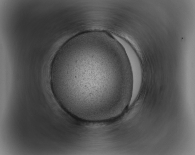 X0000093230673200710101404