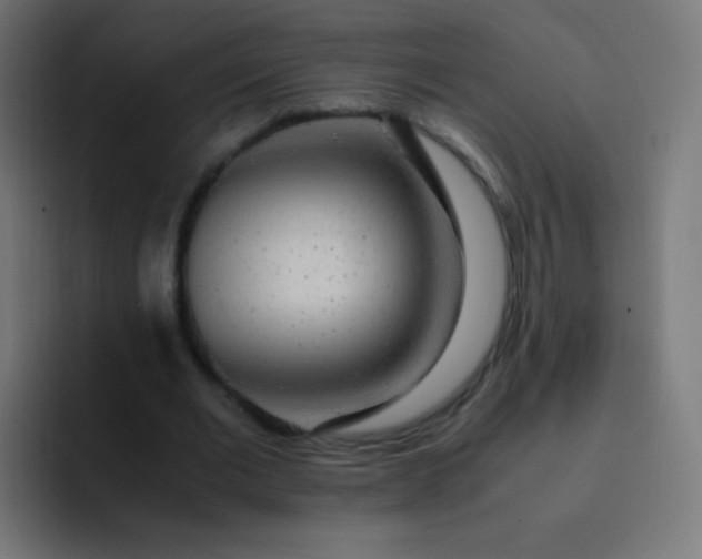 X0000093230677200710101404