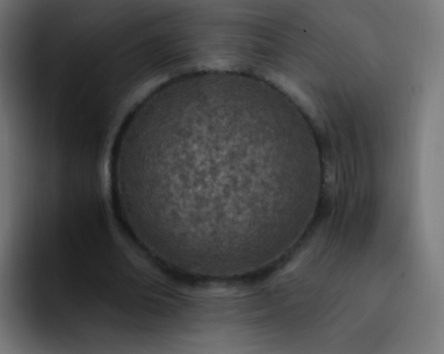 X0000093230678200710101404