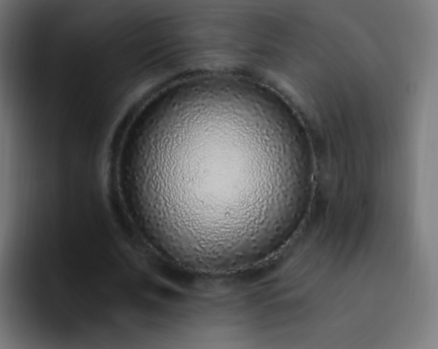 X0000093230679200710101404