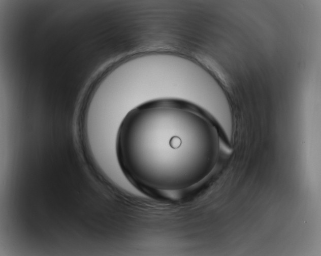 X0000093230680200710101404