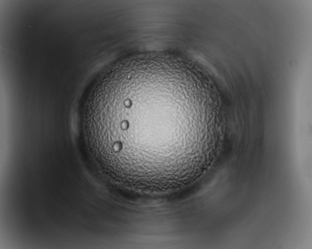 X0000093230683200710101404