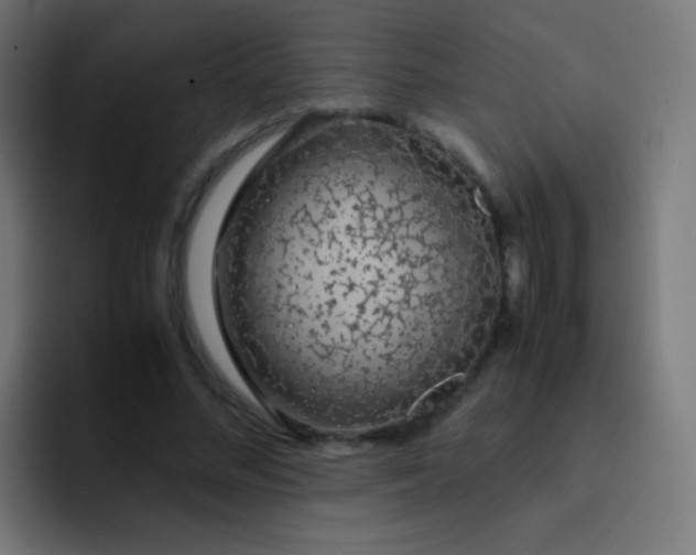 X0000093230684200710101404