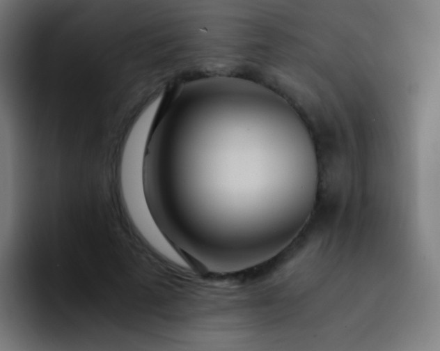 X0000093230689200710101404