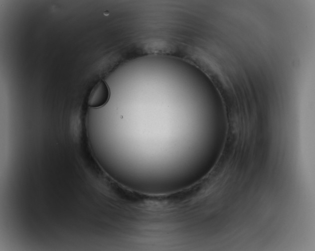 X0000093230690200710101404