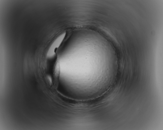 X0000093230691200710101404